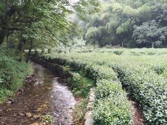 -杭州西湖风景名胜区-三生石