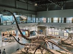 -自贡恐龙博物馆