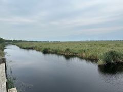 -野鸭湖国家湿地公园