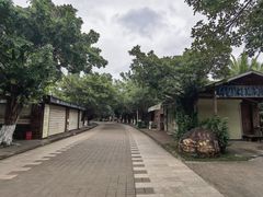 -白沙门生态公园