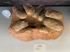 -湖南省地质博物馆