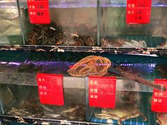 水产区-金海湾海鲜排档(朱家尖店)