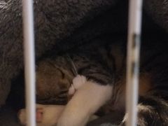 -逃脱反斗城沉浸剧情密室(北京路店)