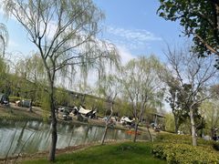 -上海浦江郊野公园-5号停车场