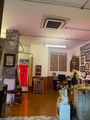 -脱白计划纹身集团