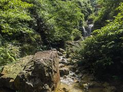 -南海湾森林生态园