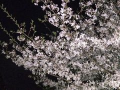 -浙江万里学院(钱湖校区)