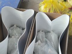 -马陆小张葡萄园农家乐