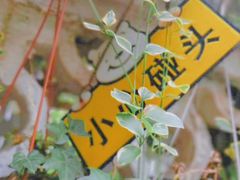 -隅cafe(傅厚岗店)