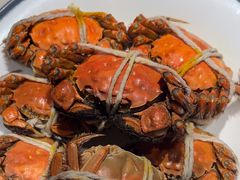 -杨氏青龙虾·羊肉季(金盛路总店)