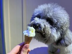 -CREAM STORY意大利手工冰淇淋&甜品(万象前海店)