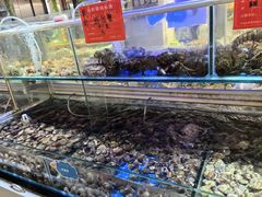 -四海蒸鲜蒸汽海鲜自助(北戴河店)