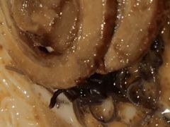 -味千拉面(双井店)