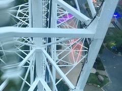 -锦江乐园舞狸花花游园会(夜场专享)