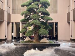 -外滩·云南人家(昆明旗舰店)