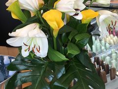 -Patagonia Chocolates(皇后镇店)