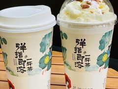 -茶颜悦色(花园道店)