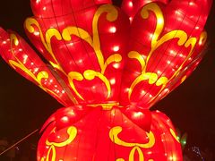 -万绿园