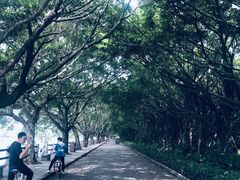 -大湾区中央湿地公园