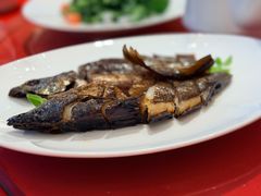 -新黄埭大酒店丨宴会厅(润元路店)
