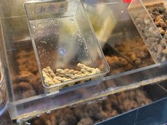 -陈建平麻花(磁器口总店)