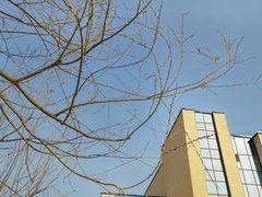 -华北理工大学(曹妃甸校区)