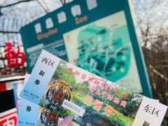 门面-青岛动物园