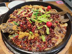 -老板恋上鱼(印象城店)