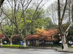 -杭州西湖桔子水晶酒店