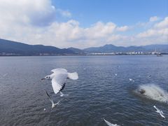 -海埂大坝