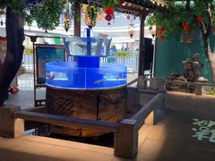 -佬麻雀·剁椒鱼头(京基KK One店)