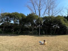 -嘉定紫藤园