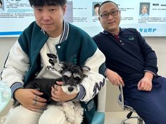 -北京观赏动物医院·24小时大型综合·猫专科·异宠专科