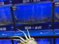 -蟹状元大闸蟹·年货·粽子(成都成华店)