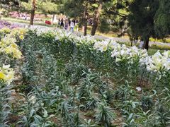-石家庄市植物园