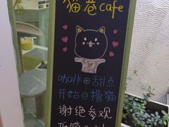 -有猫主题·治愈系猫咖(曾厝垵店)
