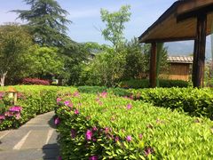 -庐山天沐温泉度假村