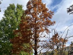 -云南师范大学(一二一西南联大校区)