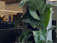 大堂-麻雀咖啡SPARROW COFFEE(十全街店)
