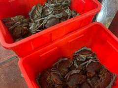 -老财炒饭·熟地蟹·冬瓜蟹