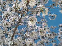 -江南大学(蠡湖校区)