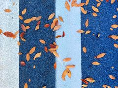 -贡湖湾湿地公园