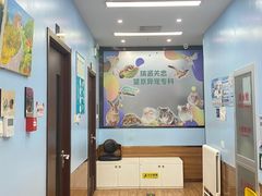 -瑞派·关忠动物医院·异宠专科·犬猫肿瘤·皮肤专科(望京店)
