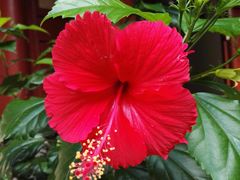 -普陀山慧济禅寺