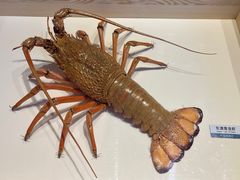 -浙江自然博物院(杭州馆)