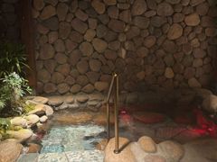 -漢頓温泉度假酒店