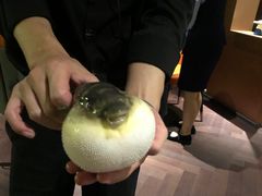 -肆月河豚·淮扬菜·湘菜(华天店)