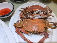 -日月昇渔家菜·海肠捞饭·大连海鲜(星海公园店)