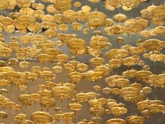 -深圳星河丽思卡尔顿酒店
