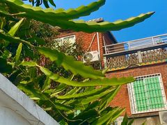 -溪岸路花鸟市场
